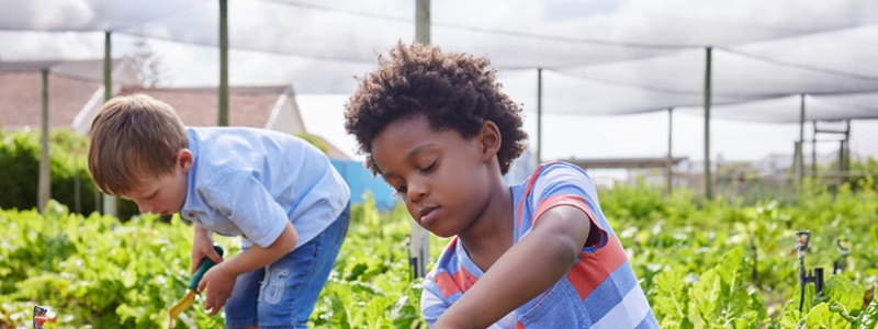 4 Outdoor Learning Experiences For Kids This Summer