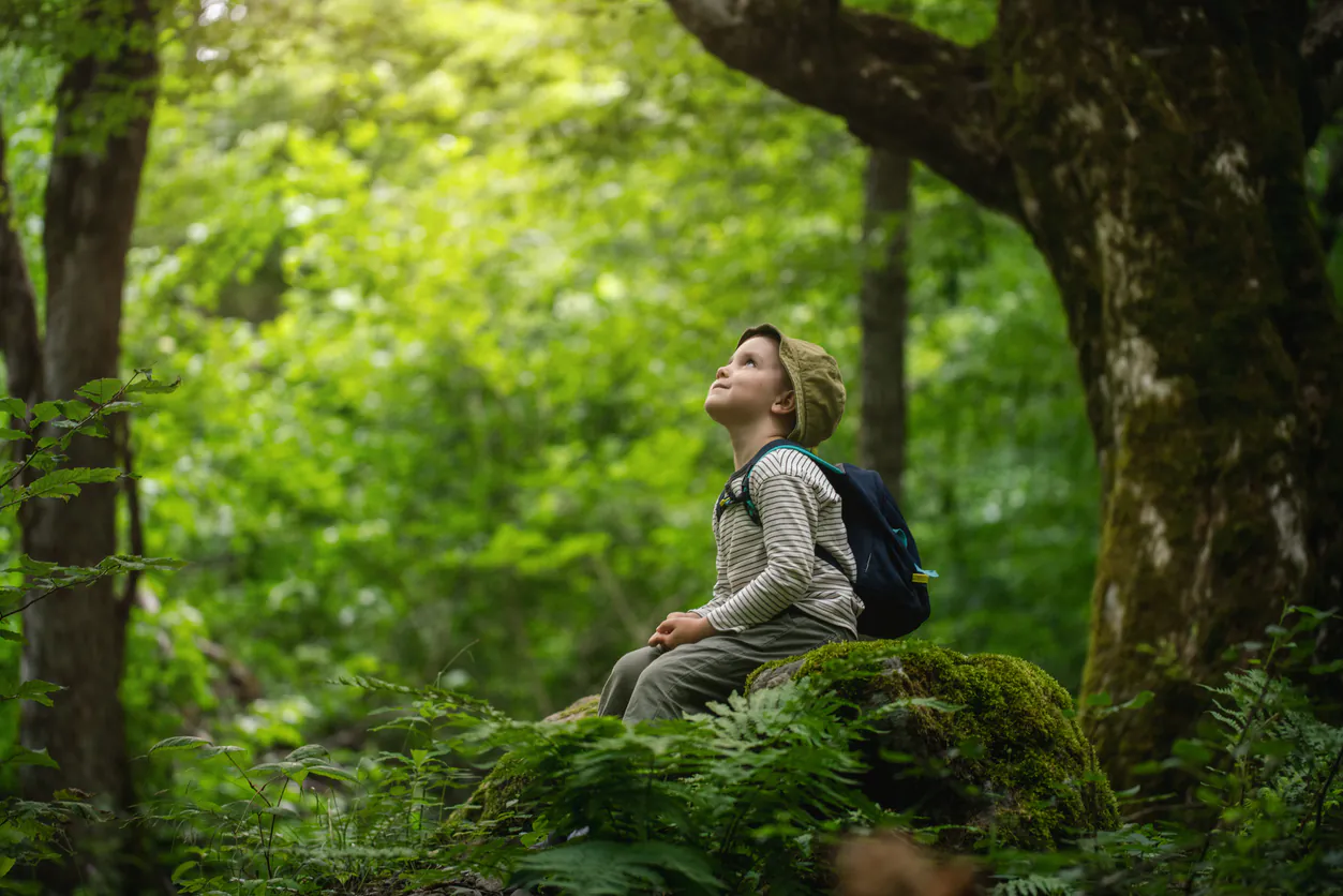 Mindfulness Exercises for Students to Manage Stress and Anxiety During Exam Season