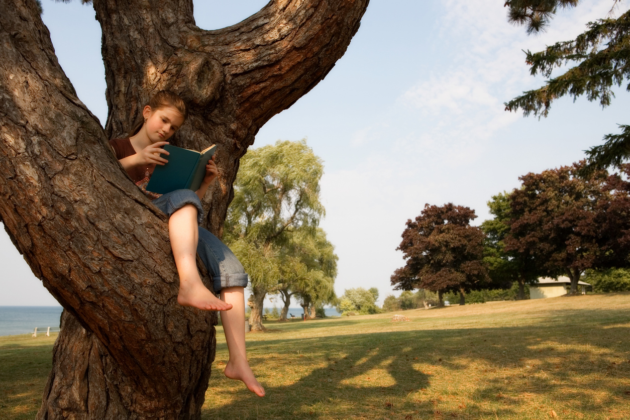 A young girl sits barefoot in a large tree, engrossed in reading a book on a